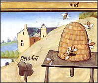 Oldcook : sucre plaisir, dessert et pâtisserie - abeilles et miel du platearius