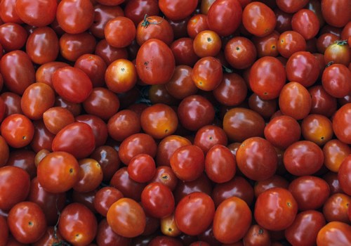 Oldcook : tomates au Panama